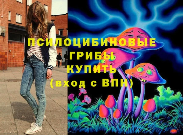 экстази Дмитров